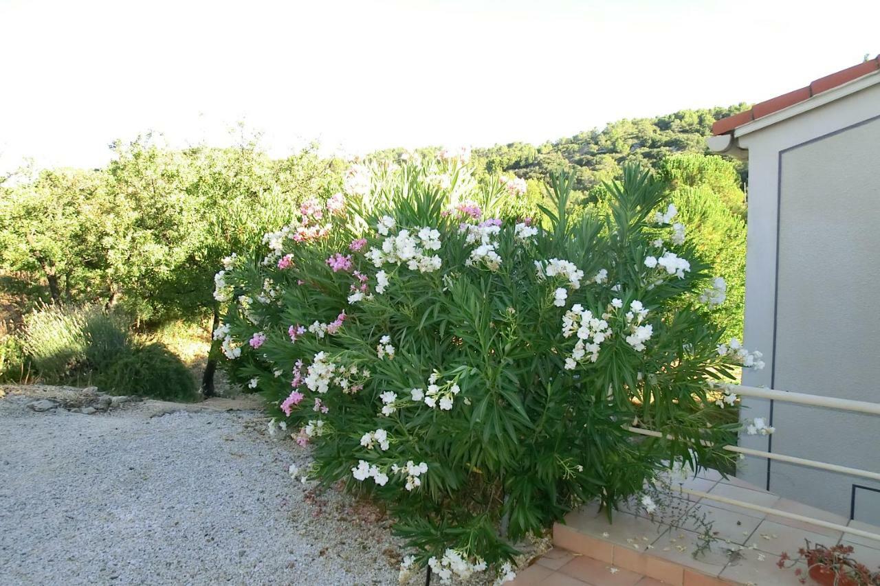 Gite Charlrose At La Platriere Cazedarnes Zewnętrze zdjęcie
